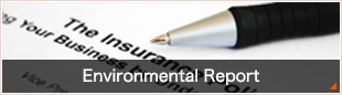 Environmental Report